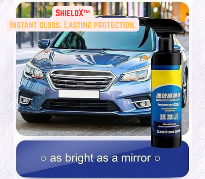 ShieldX™ - Instant gloss. Lasting protection.